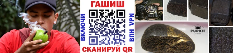 ГАШ Premium  Краснообск 