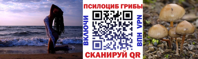 Псилоцибиновые грибы MAGIC MUSHROOMS  Краснообск 